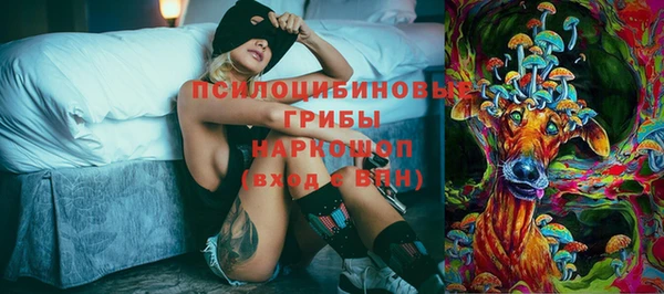 винт Покачи