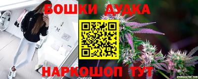 индика Ипатово