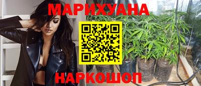индика Ипатово