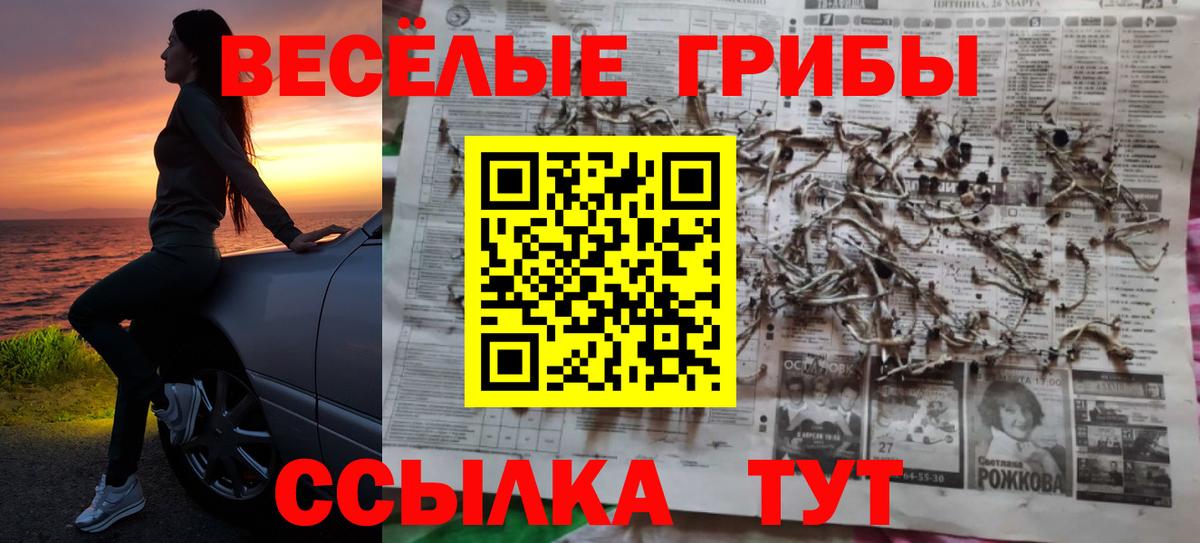 МЕФ Семилуки